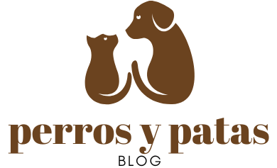 Perros y Patas