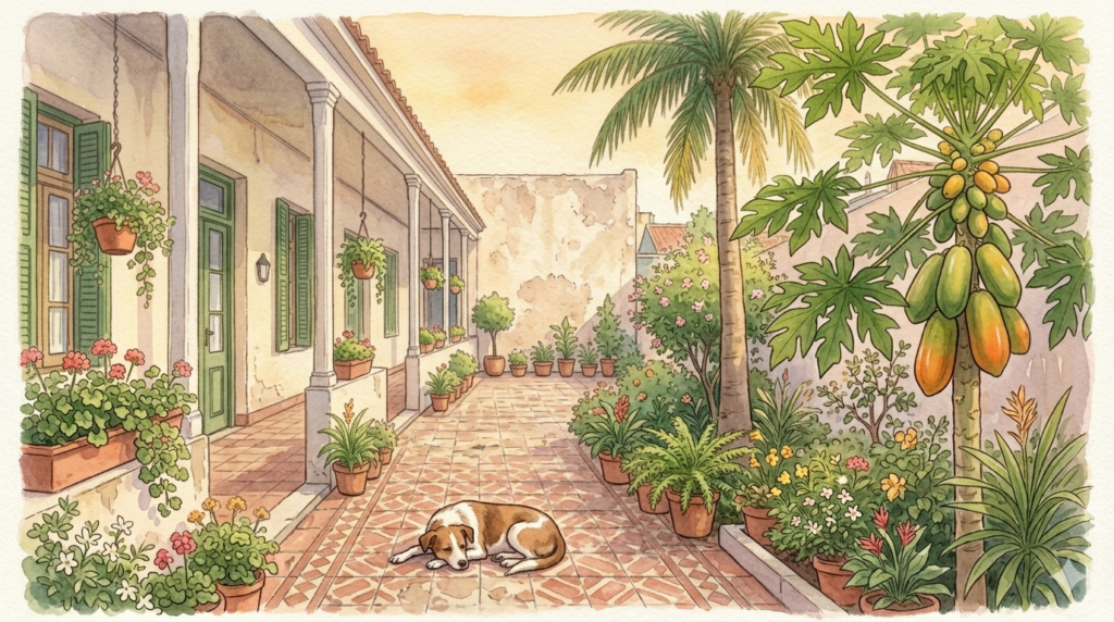 Ilustración de una casa chorizo porteña con patio, palmera, árbol de papaya y perro descansando en los ladrillos