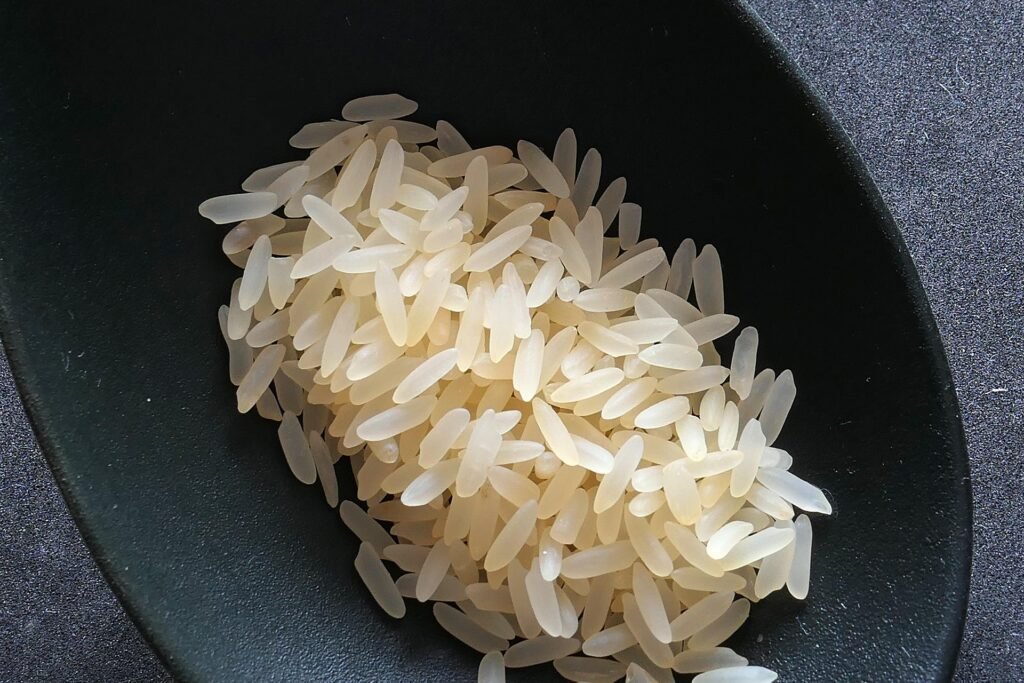 arroz, pueden los perros comerlo?