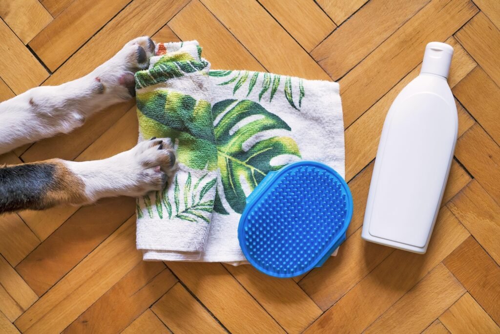baño para tu peludo, que necesitas